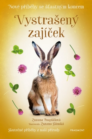 Vystra�en� zaj��ek